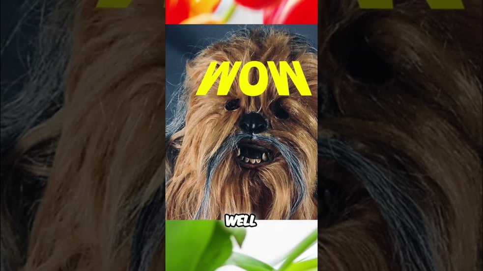 Wookiees in the House? Our Hilarious Star Wars Parody! #shorts