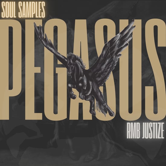 Pegasus - Timeless Soul Sample Pack