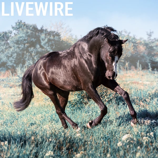 Livewire image