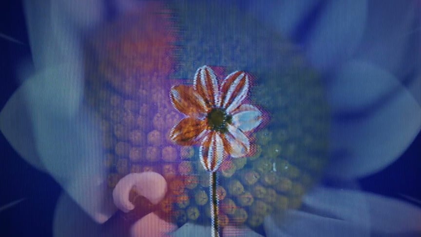 Dear Gravity & Six Missing • Streams (Official Video)