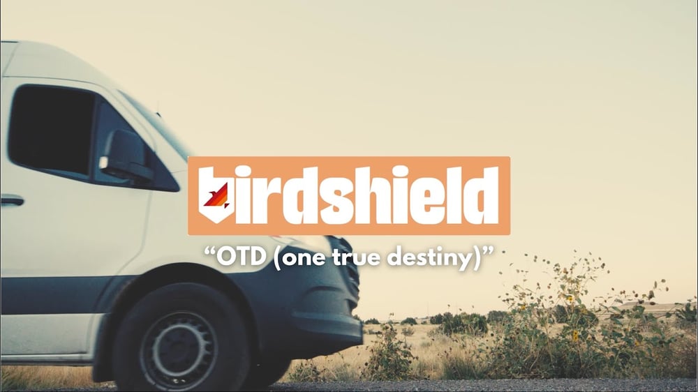 birdshield - "OTD (one true destiny)" official video