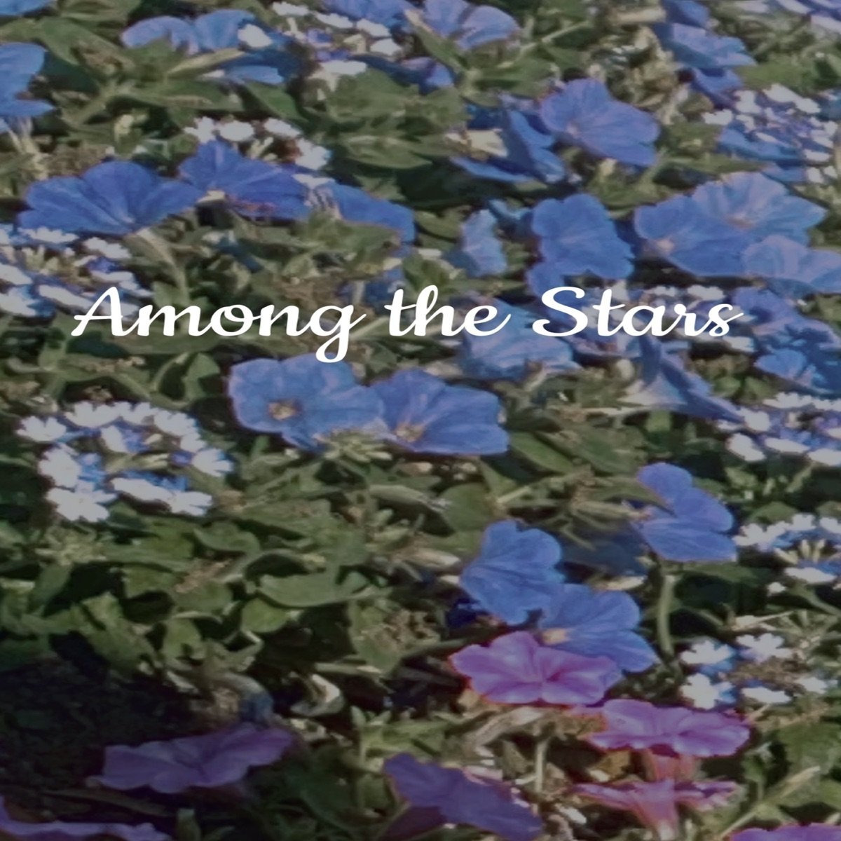 Among the Stars