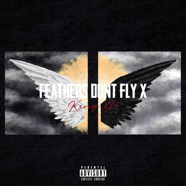Feathers Don't Fly X image