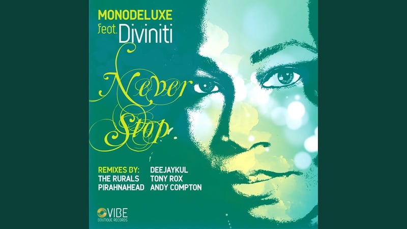 Never Stop (Deejaykul Meets Soultechnic Remix)