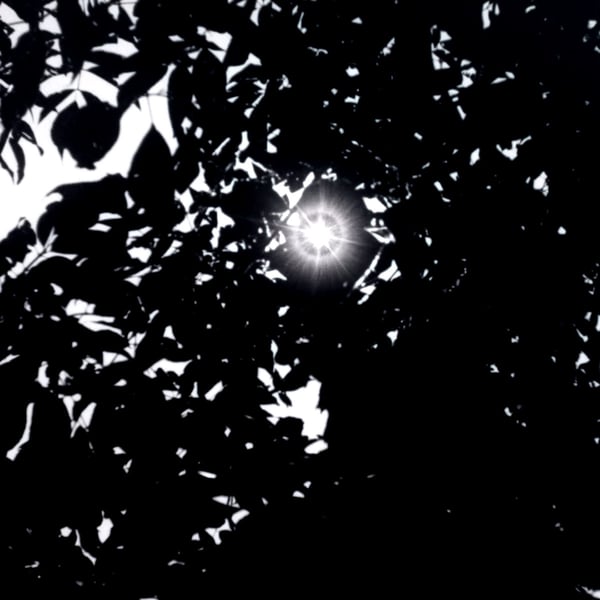 VHS image