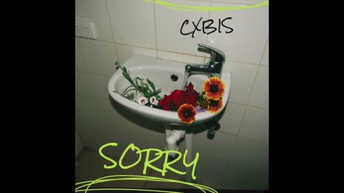 sorry (alternate vers) Prod. by Am and doubleocob