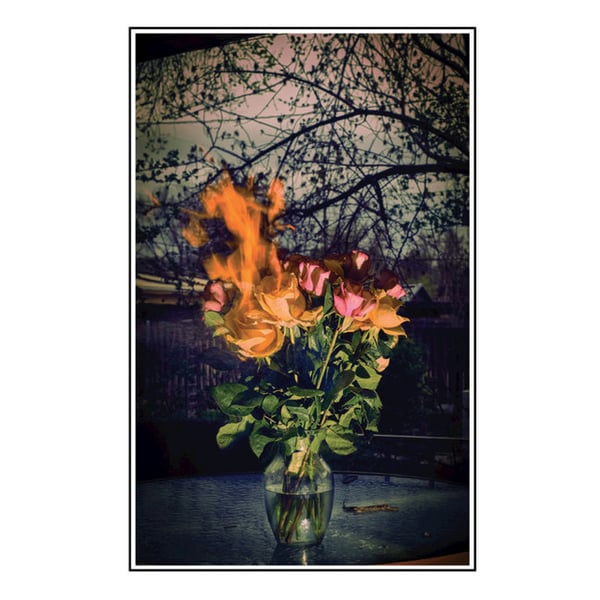 Tangled Molten Skull image