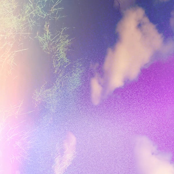 All Will Be Made New image