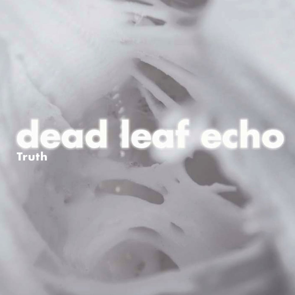 LTD. Half-Truth 7"