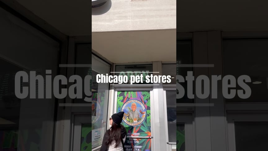 🎒🐾 Cool pet stores In Chicago and the suburbs.