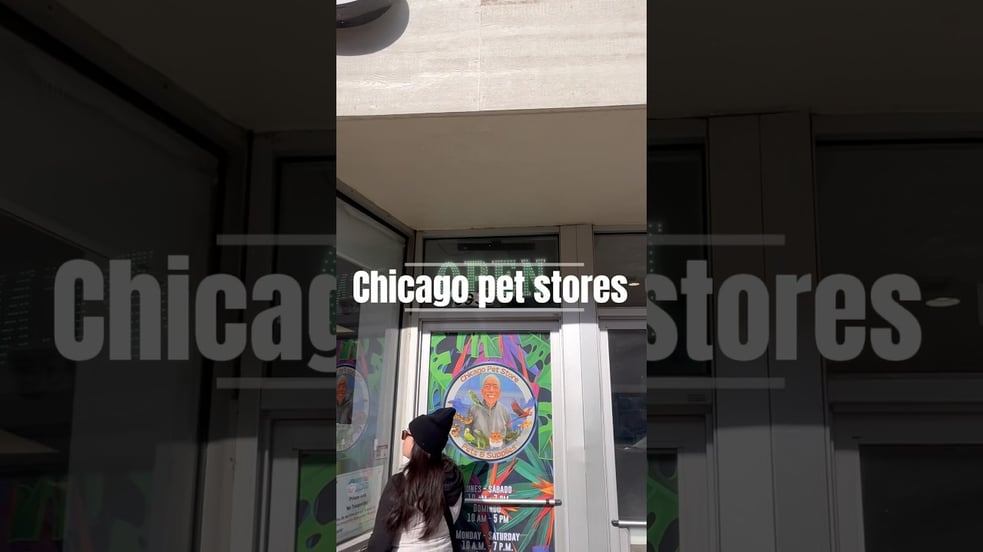 🎒🐾 Cool pet stores In Chicago and the suburbs.