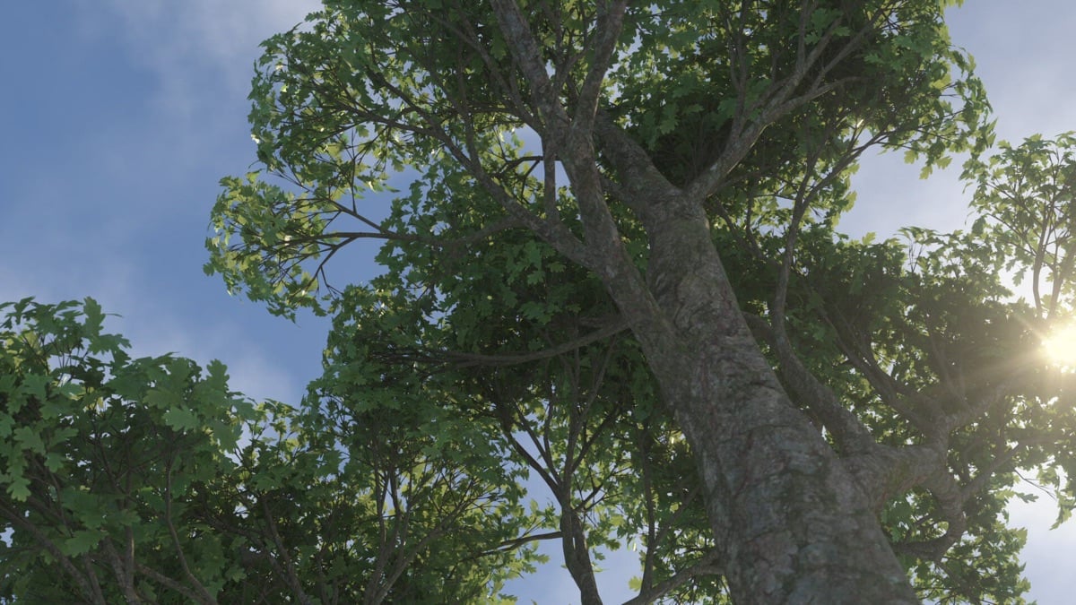 Running In The Grass