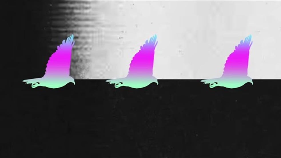 Bobcat Attack - Bird of Prey (Official Video)