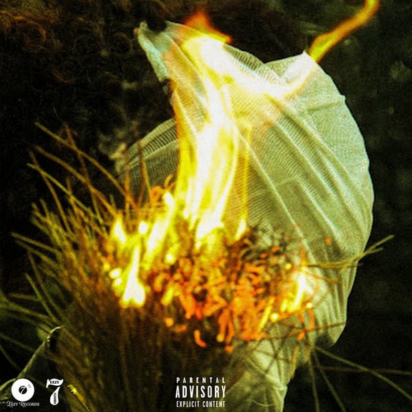 Burning Desire image