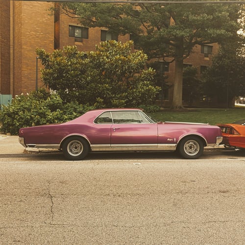 Kelly Drive / Pistachio