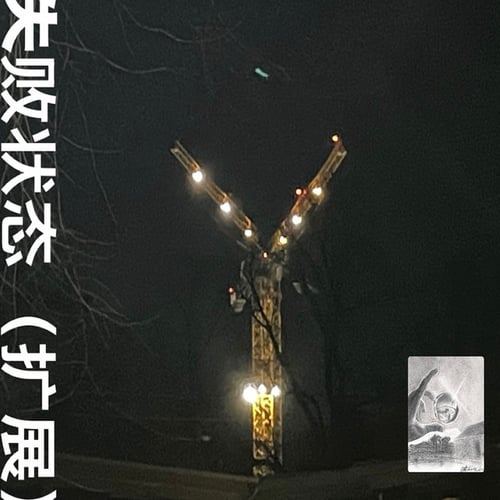 Failed State (Extended)