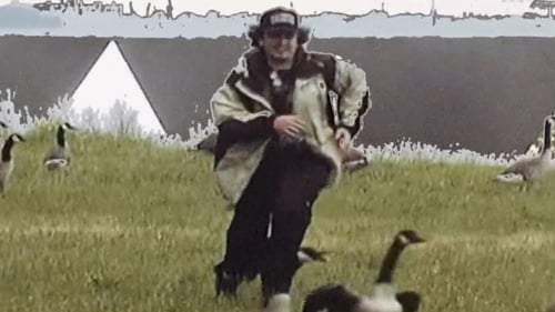 bird bennett - stoopid (music video)