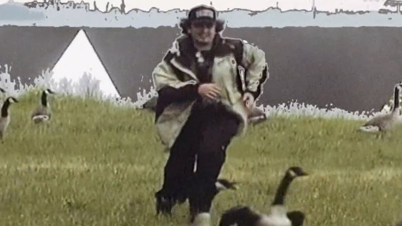 bird bennett - stoopid (music video)