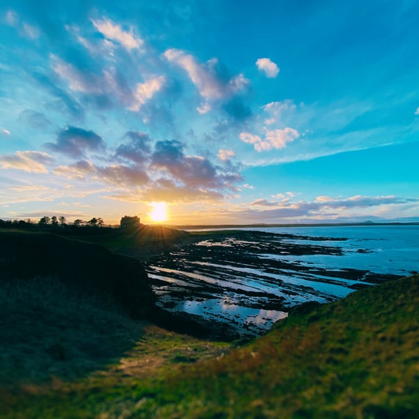 Borderlands - Digital image