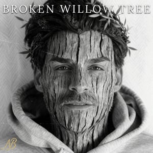 Broken Willow Tree