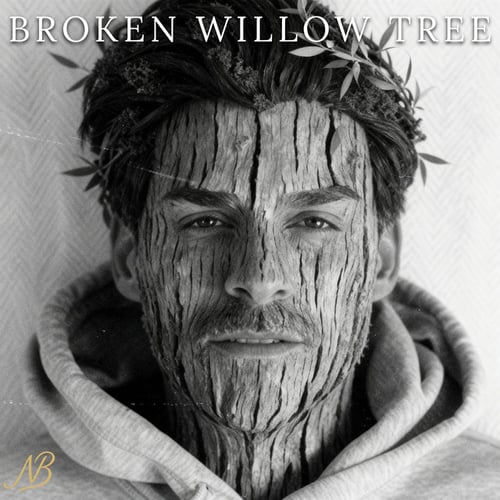 Broken Willow Tree