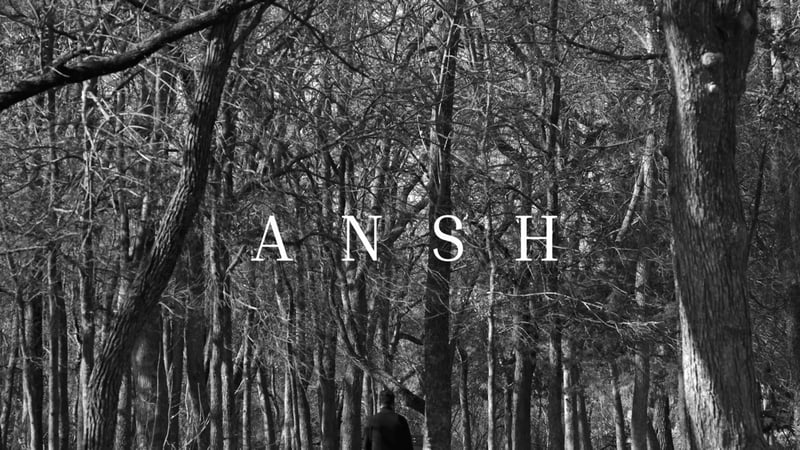 Ansh