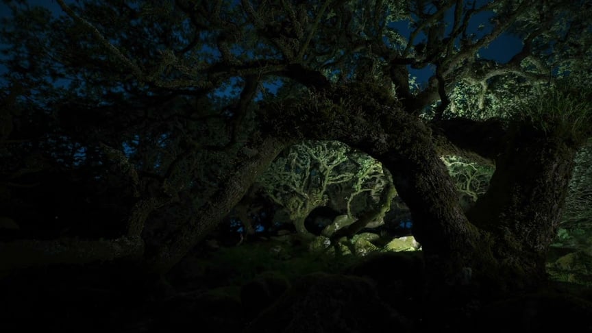 Dear Gravity • Tranquility (Official Video)