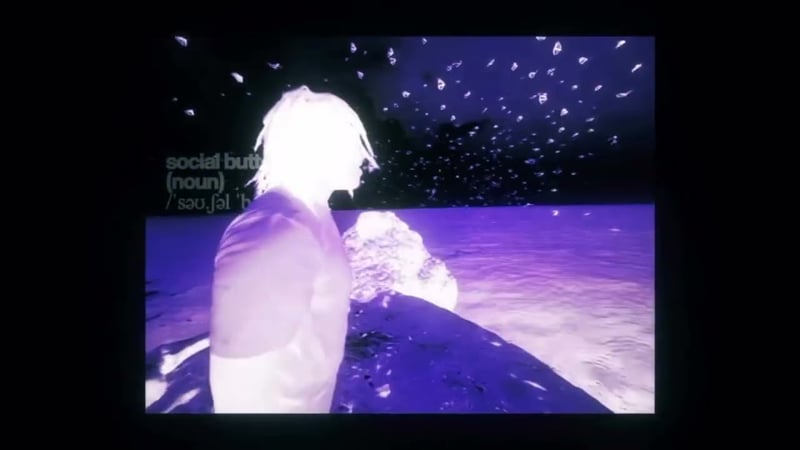 CXBIS _ Social Butterfly (Official VIsualizer)