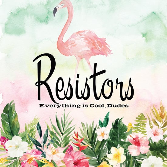 Everything Is Cool, Dudes