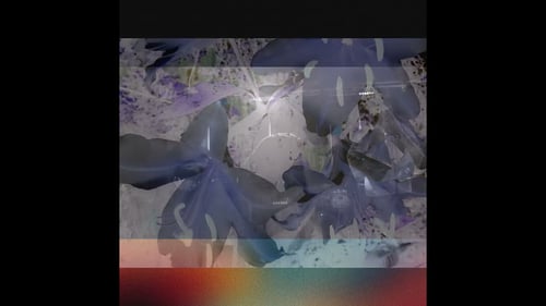 THE VELDT Until You're Forever  (Dir: Honeychild Coleman)