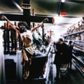 The Cost of Freedom (Bandcamp exclusive)