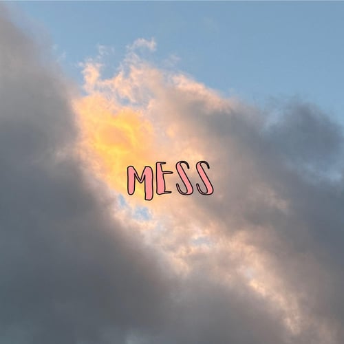 Mess