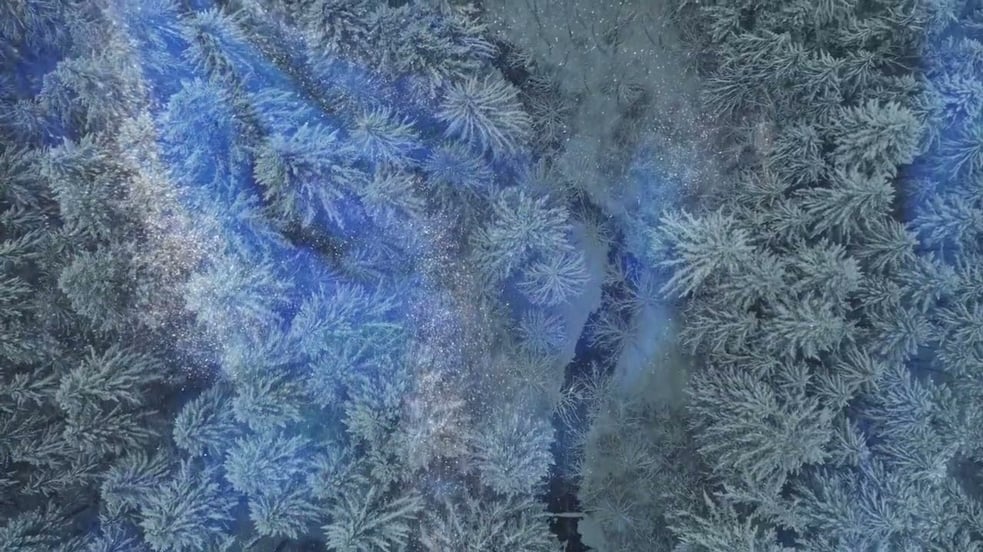 Dear Gravity & Salt Of The Sound ●● In Light, Ascending (Official Video)