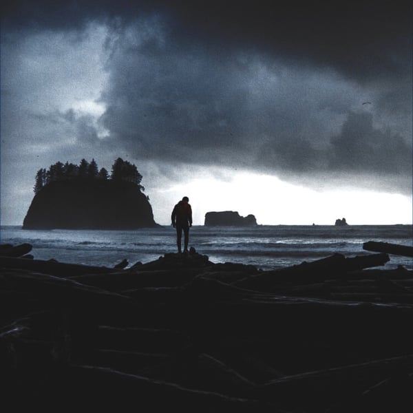 The Calm After the Storm image