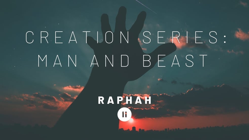 Creation Series: Man and Beast - Raphah // Ambient Music