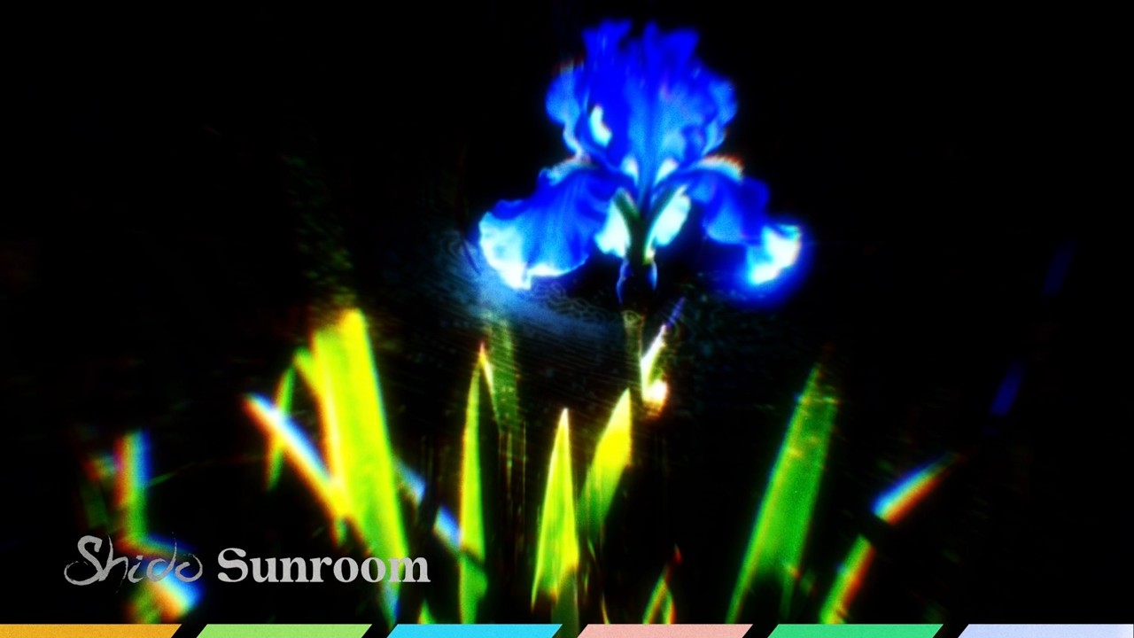 Shīdo - Sunroom (Official Visualiser)