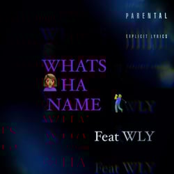 WHATS HA NAME (feat. WLY)