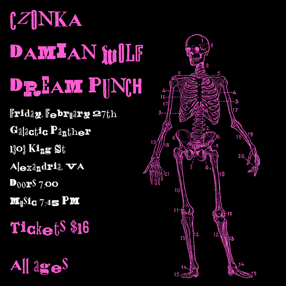 Damian Wolf, Dream Punch & Czonka @ Galactic Panther