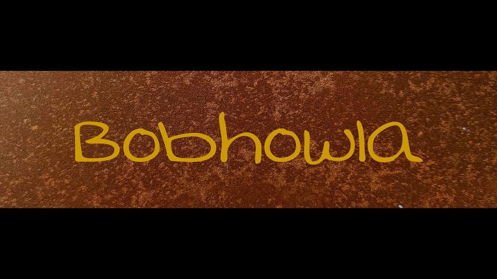 Bobhowla - Oh, Astrid (Live & Solo from The Snug)