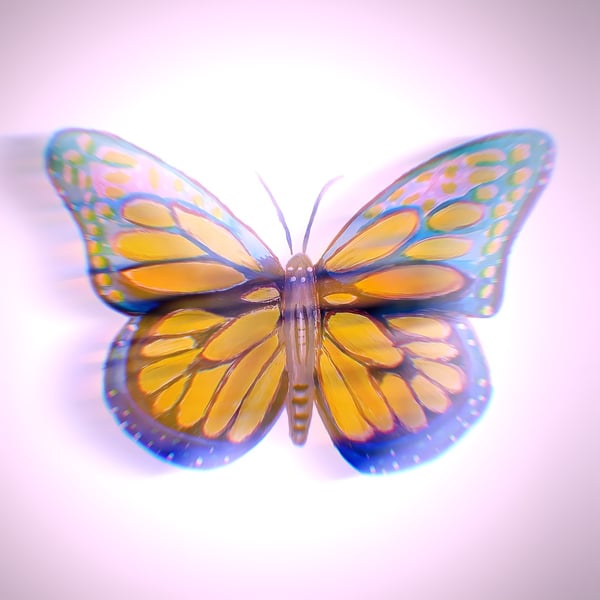 Papillon image