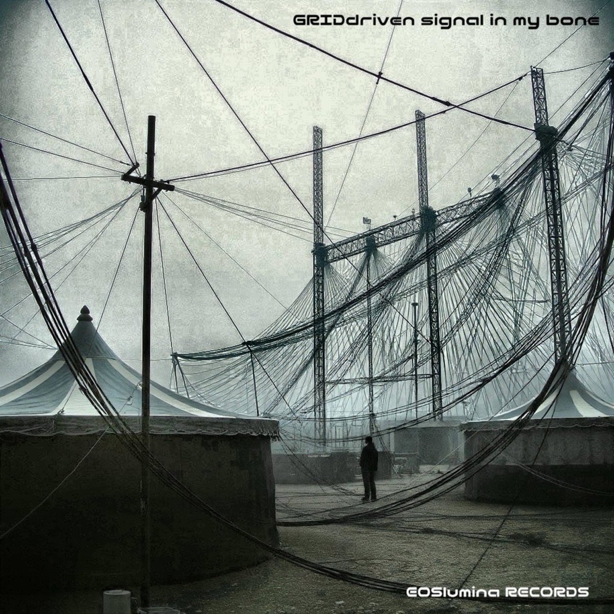 GRIDdriven signal in my bone