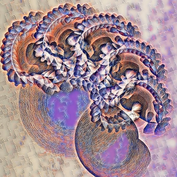 Blackwaterside (feat. Megan Davies) image