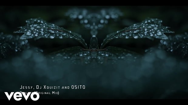 Jessy, DJ Xquizit, OSITO - Reality