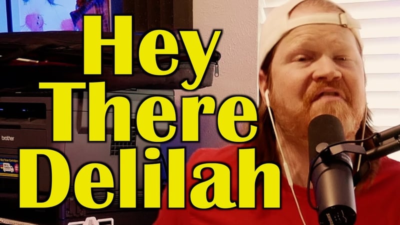 Hey There Delilah - Plain White T's (Toy Jam Cover by Faith in Foxholes)