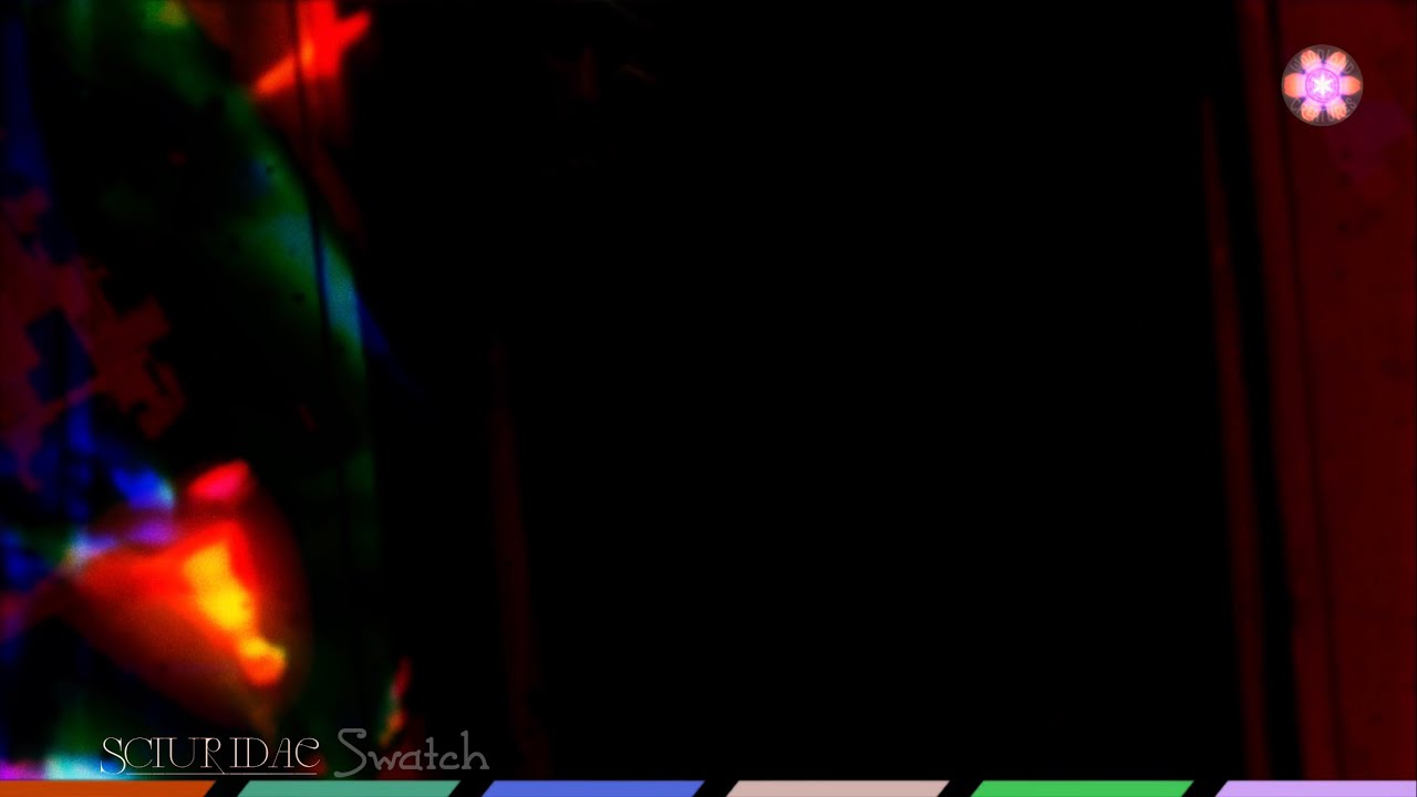 Sciuridae - Swatch (Official Visualiser)