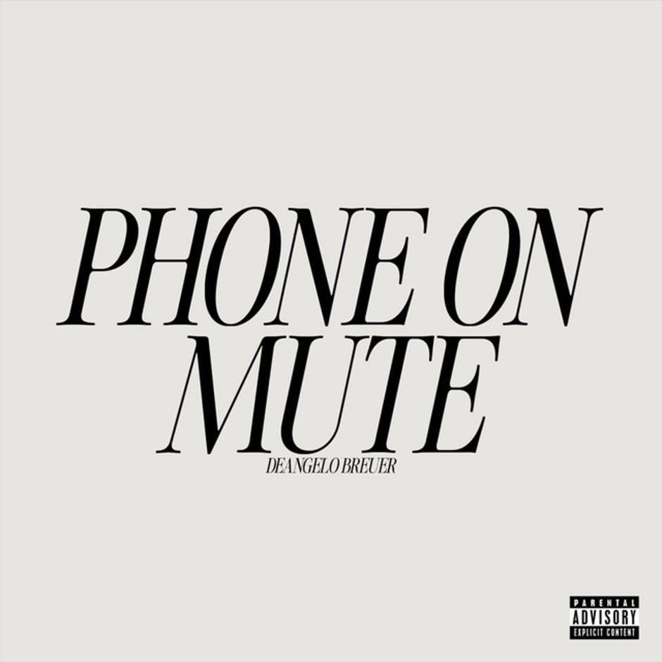 Phone on Mute