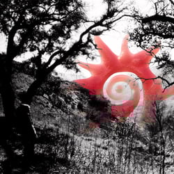 if i could i'd melt (into the valley)