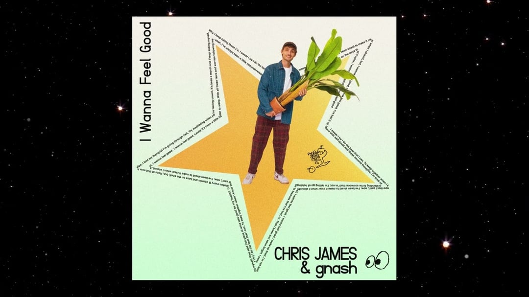 Chris James, gnash - I Wanna Feel Good image