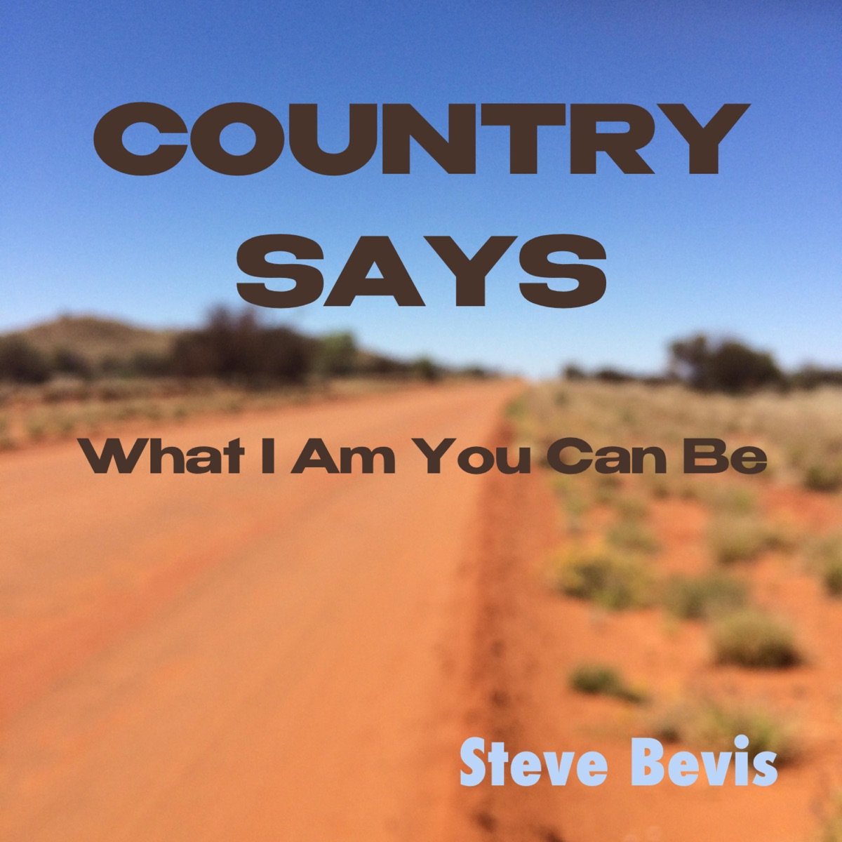 Country Says What I Am You Can Be