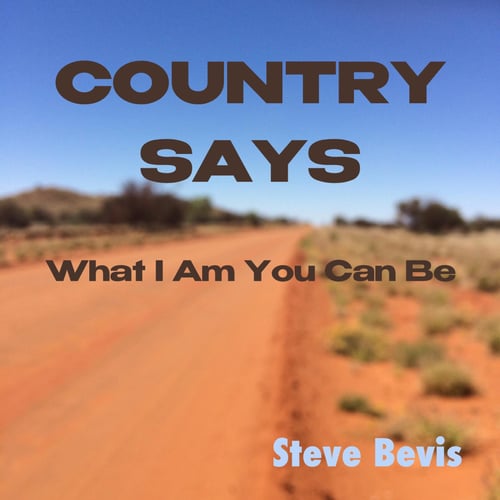 Country Says What I Am You Can Be